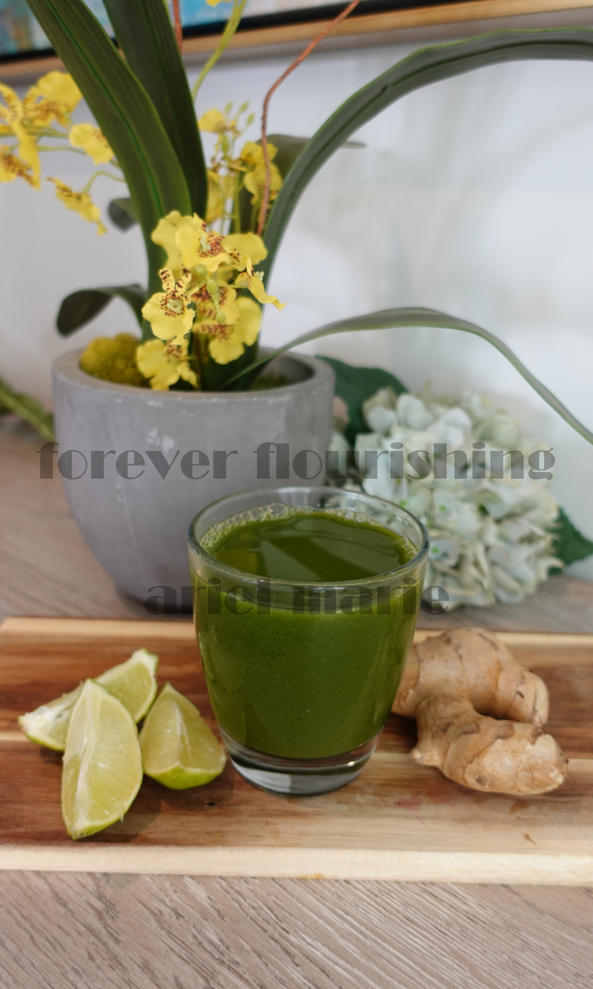 JUICE & SMOOTHIE EBOOK